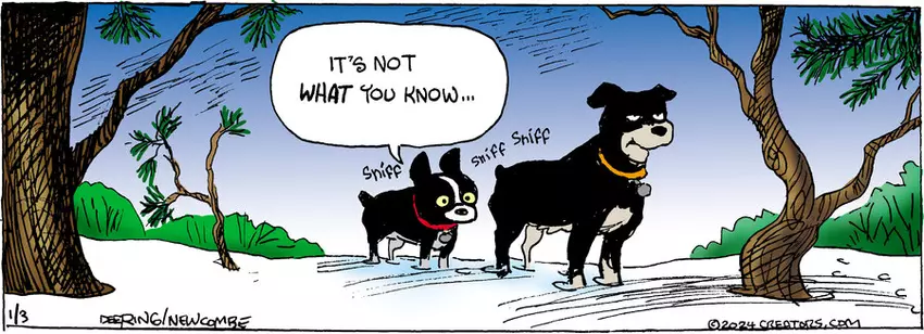 Zack Hill for Jan 03, 2024