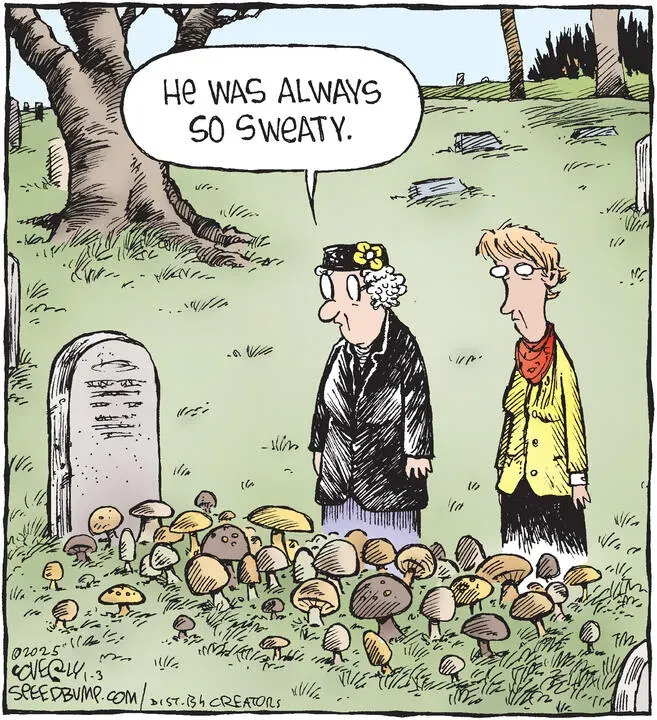 Speed Bump for Jan 03, 2025