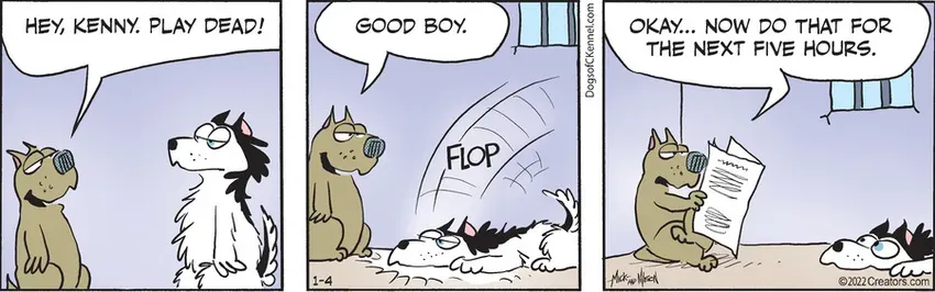 Dogs of C-Kennel for Jan 04, 2022