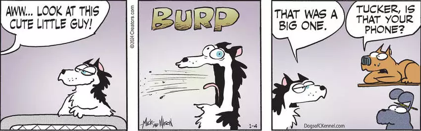 Dogs of C-Kennel for Jan 04, 2024