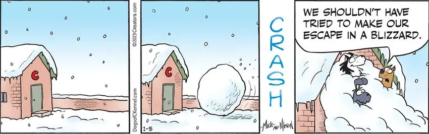 Dogs of C-Kennel for Jan 05, 2023