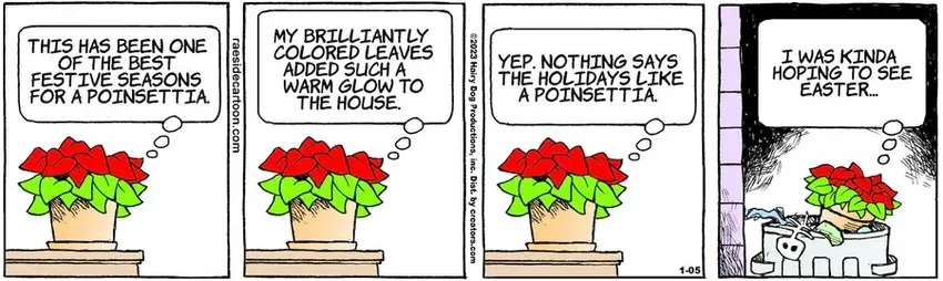 The Other Coast for Jan 05, 2023