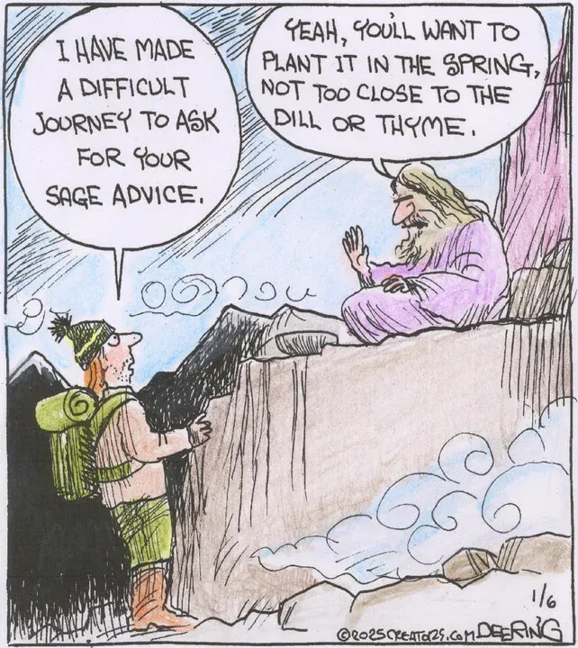 Strange Brew for Jan 06, 2025