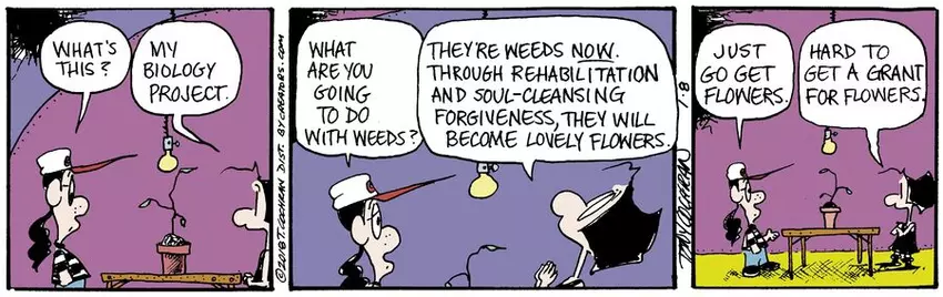 Agnes for Jan 08, 2024