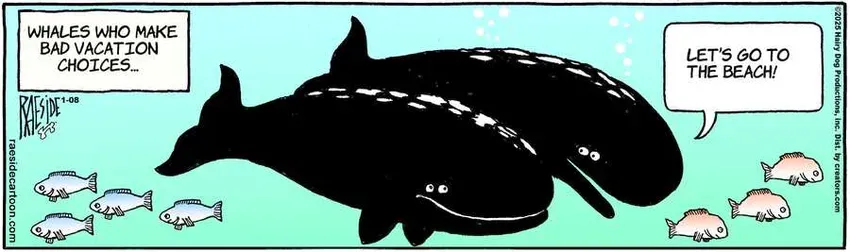 The Other Coast for Jan 08, 2025