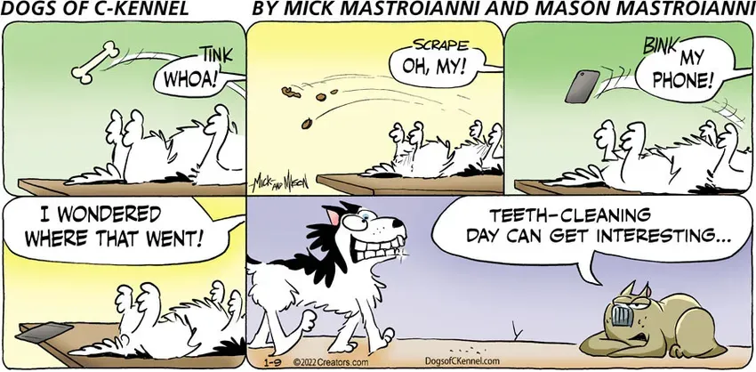 Dogs of C-Kennel for Jan 09, 2022