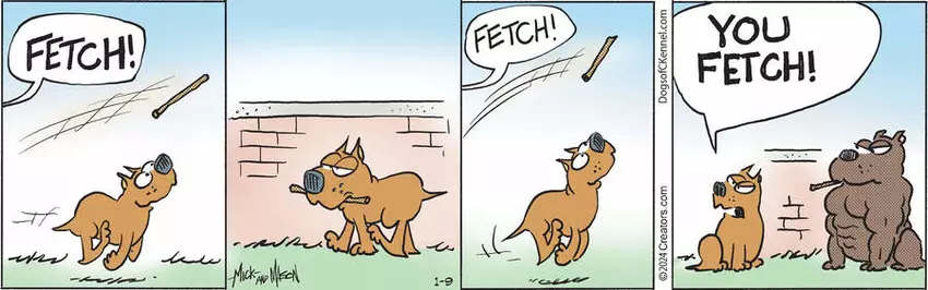 Dogs of C-Kennel for Jan 09, 2024