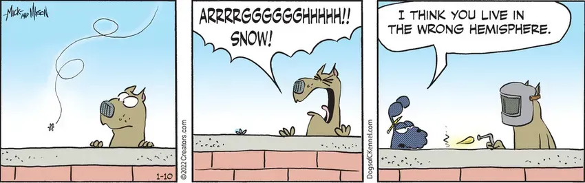 Dogs of C-Kennel for Jan 10, 2022