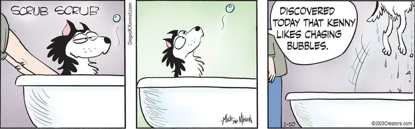 Dogs of C-Kennel for Jan 10, 2023