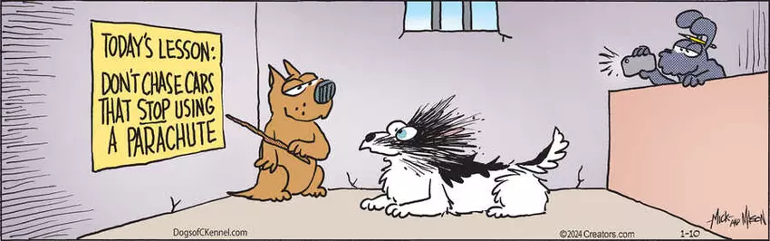 Dogs of C-Kennel for Jan 10, 2024