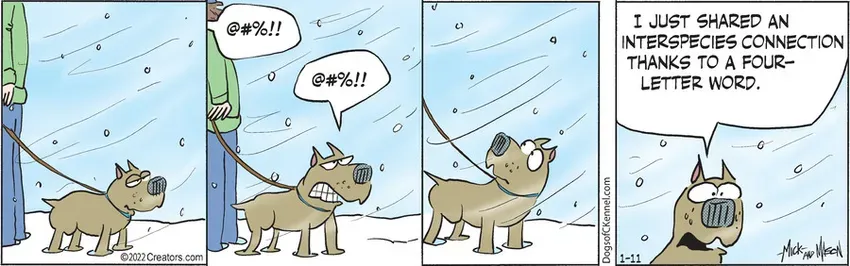 Dogs of C-Kennel for Jan 11, 2022