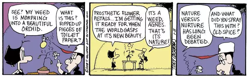 Agnes for Jan 11, 2024