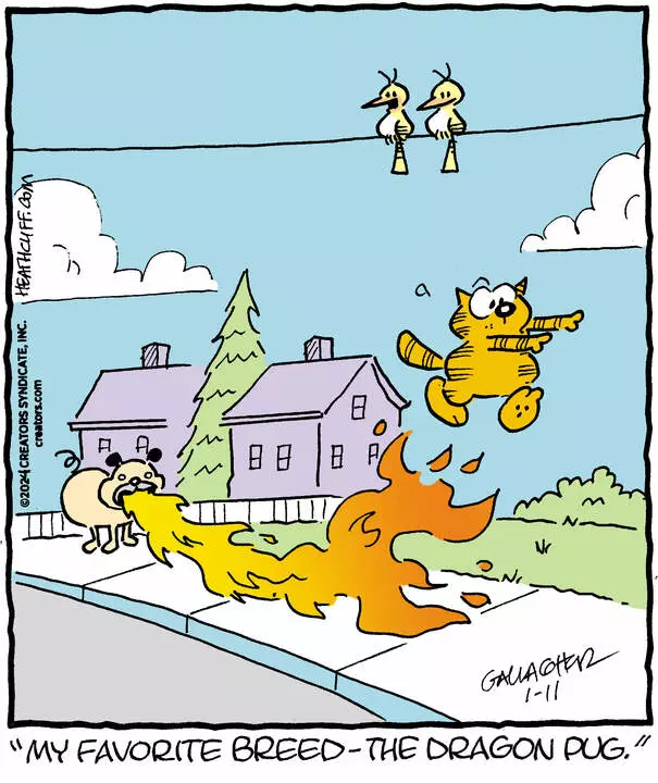 Heathcliff for Jan 11, 2024