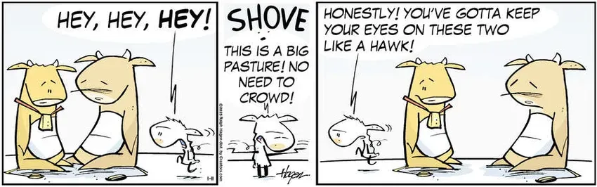 The Barn for Jan 11, 2025