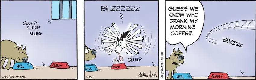 Dogs of C-Kennel for Jan 12, 2022