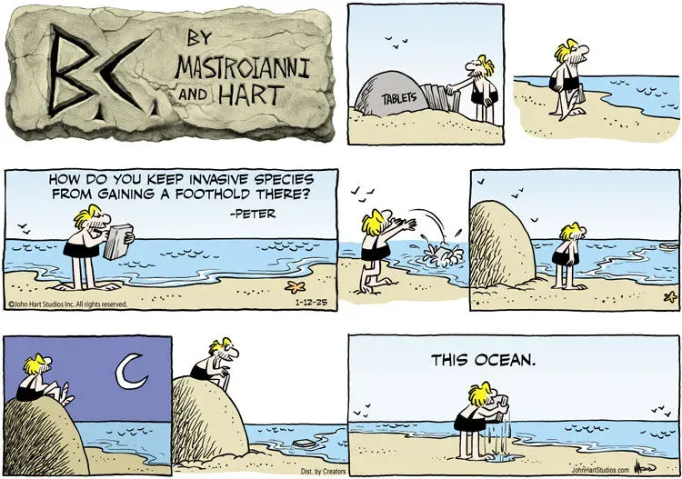 B.C. for Jan 12, 2025