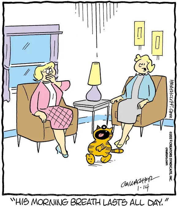 Heathcliff for Jan 14, 2022