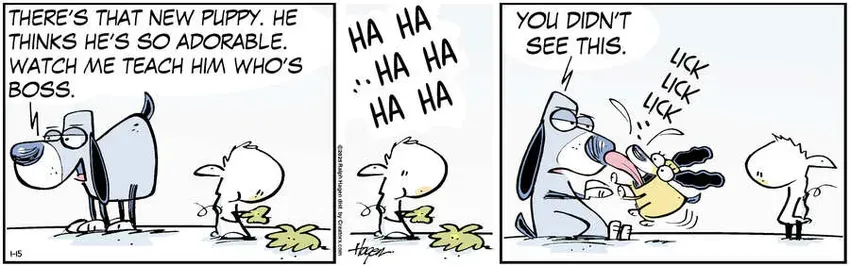 The Barn for Jan 15, 2025