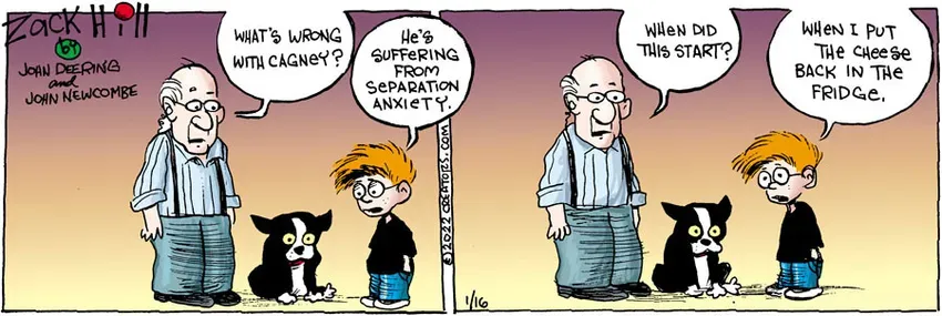 Zack Hill for Jan 16, 2022