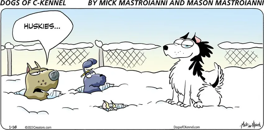 Dogs of C-Kennel for Jan 16, 2022