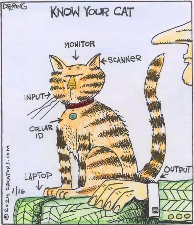 Strange Brew for Jan 16, 2024