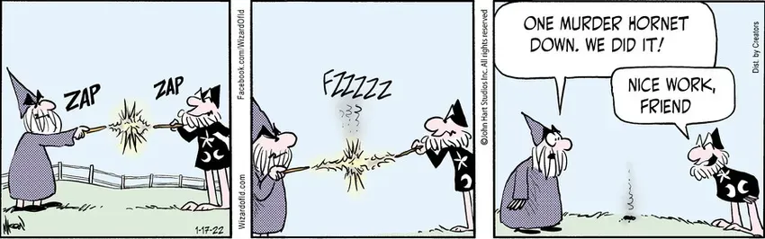 Wizard of Id for Jan 17, 2022