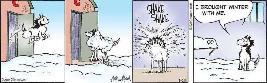 Dogs of C-Kennel for Jan 18, 2023