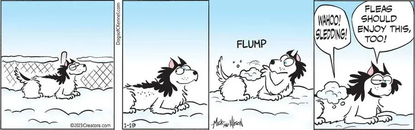 Dogs of C-Kennel for Jan 19, 2023