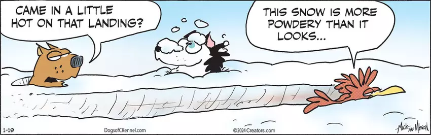 Dogs of C-Kennel for Jan 19, 2024