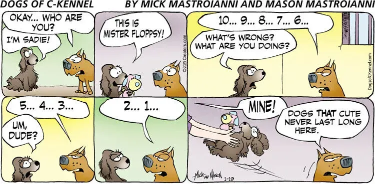 Dogs of C-Kennel for Jan 19, 2025