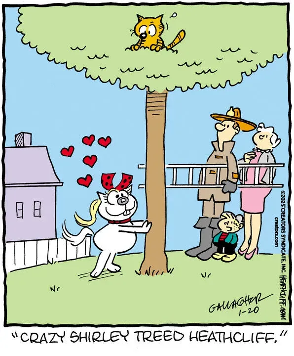 Heathcliff for Jan 20, 2025