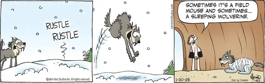 B.C. for Jan 20, 2025