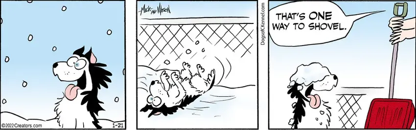 Dogs of C-Kennel for Jan 21, 2022
