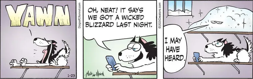 Dogs of C-Kennel for Jan 23, 2023