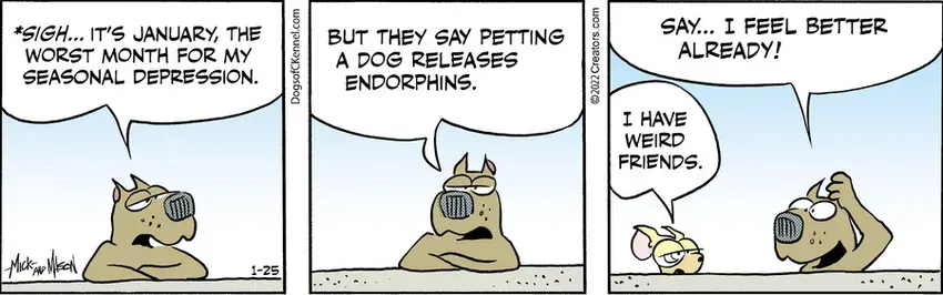 Dogs of C-Kennel for Jan 25, 2022