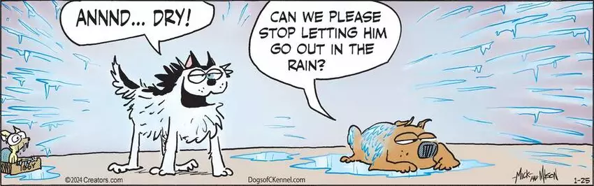 Dogs of C-Kennel for Jan 25, 2024