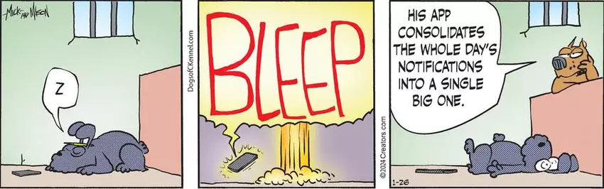 Dogs of C-Kennel for Jan 26, 2024