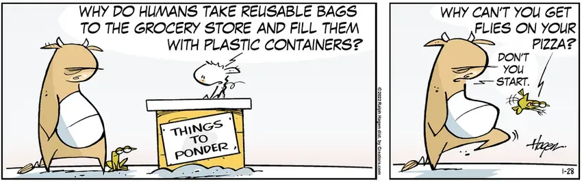 The Barn for Jan 28, 2022