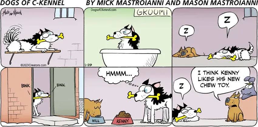 Dogs of C-Kennel for Jan 29, 2023