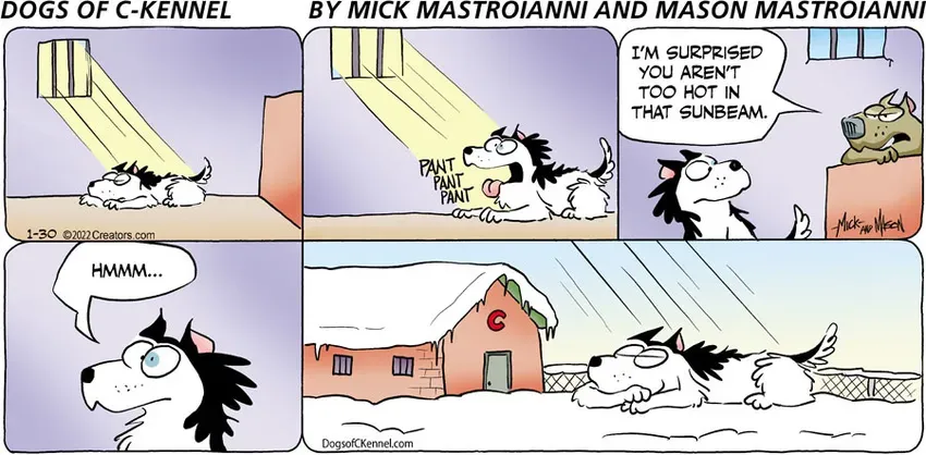 Dogs of C-Kennel for Jan 30, 2022