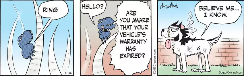 Dogs of C-Kennel for Jan 30, 2023