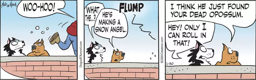 Dogs of C-Kennel for Jan 30, 2024