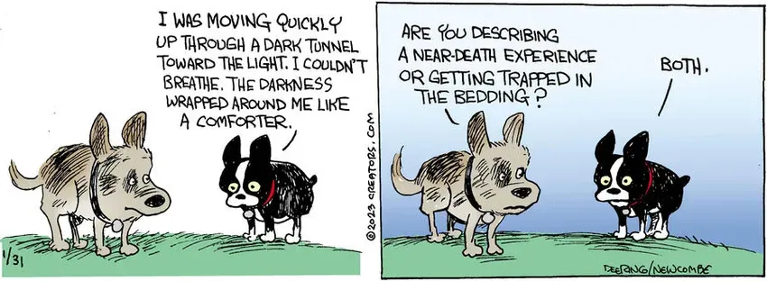 Zack Hill for Jan 31, 2023