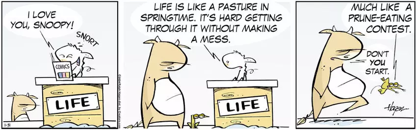 The Barn for Jan 31, 2024