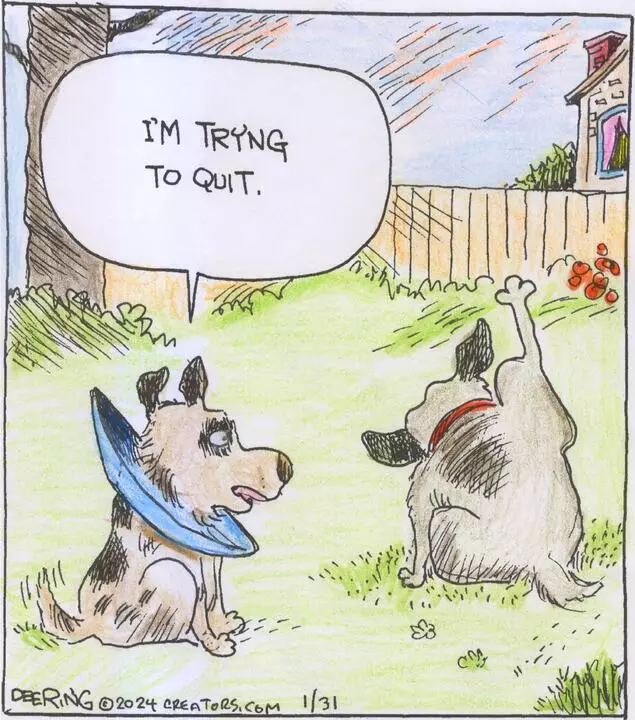 Strange Brew for Jan 31, 2024