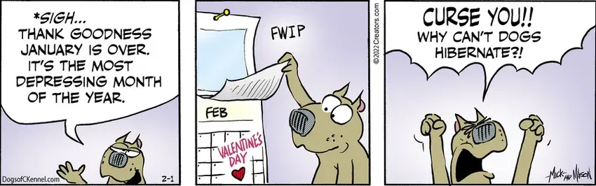 Dogs of C-Kennel for Feb 01, 2022