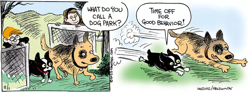 Zack Hill for Feb 01, 2023