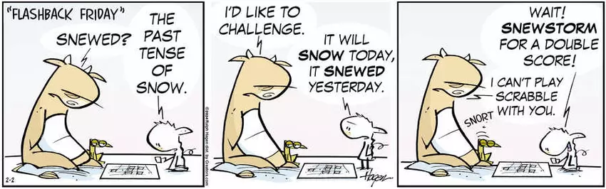 The Barn for Feb 02, 2024