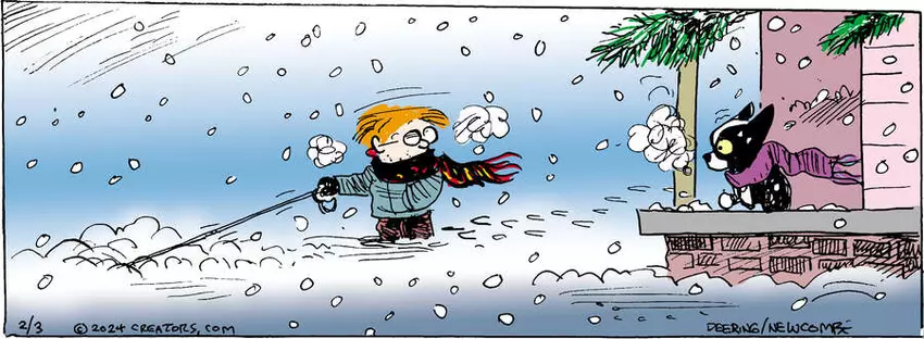 Zack Hill for Feb 03, 2024