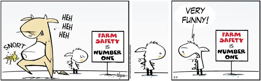 The Barn for Feb 03, 2025